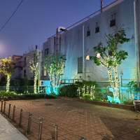 画像1061
