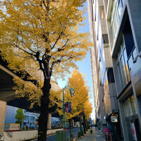 画像1084