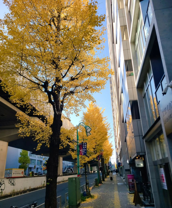 画像1084