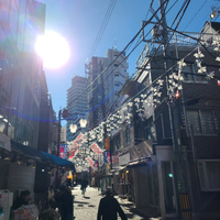 画像1156