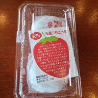 画像1389