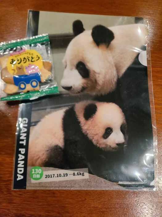 画像1395