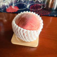 画像1499