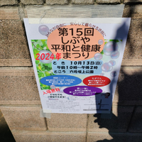 画像242