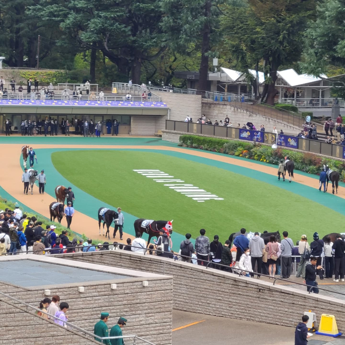 画像284