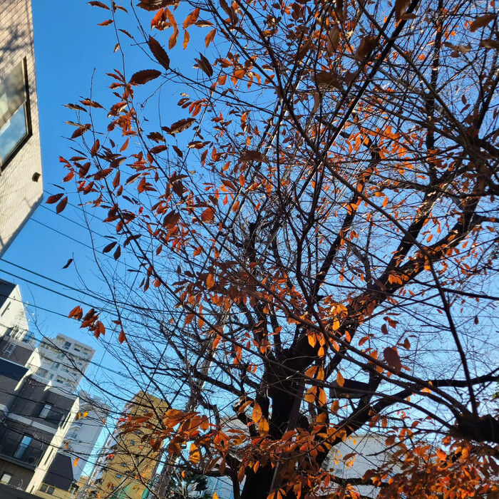 画像381