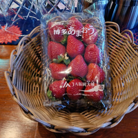 画像385