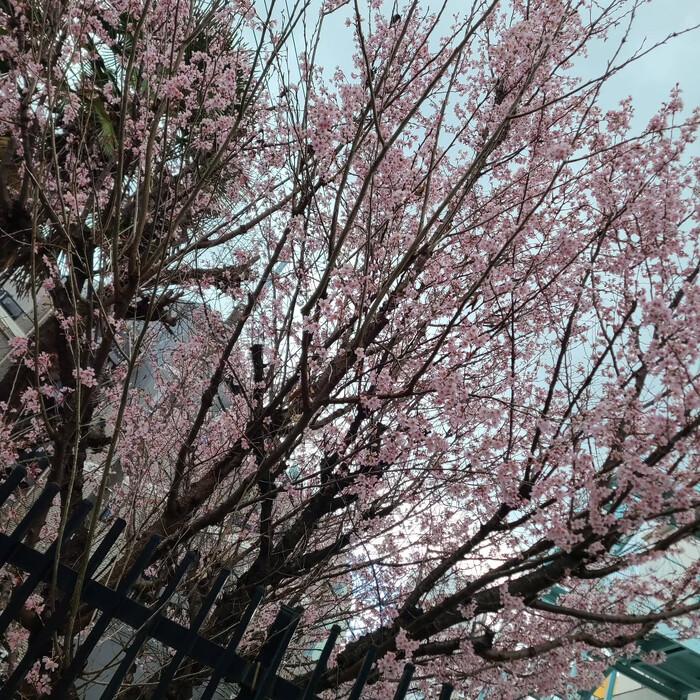 画像570