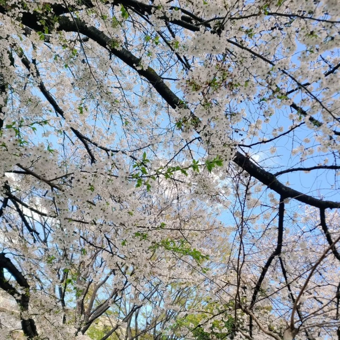 画像601