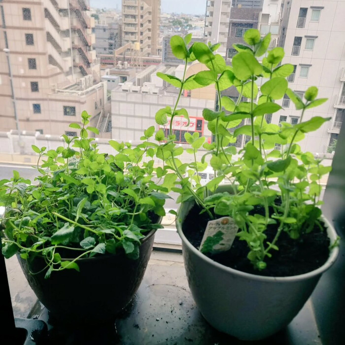 画像714