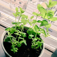 画像718