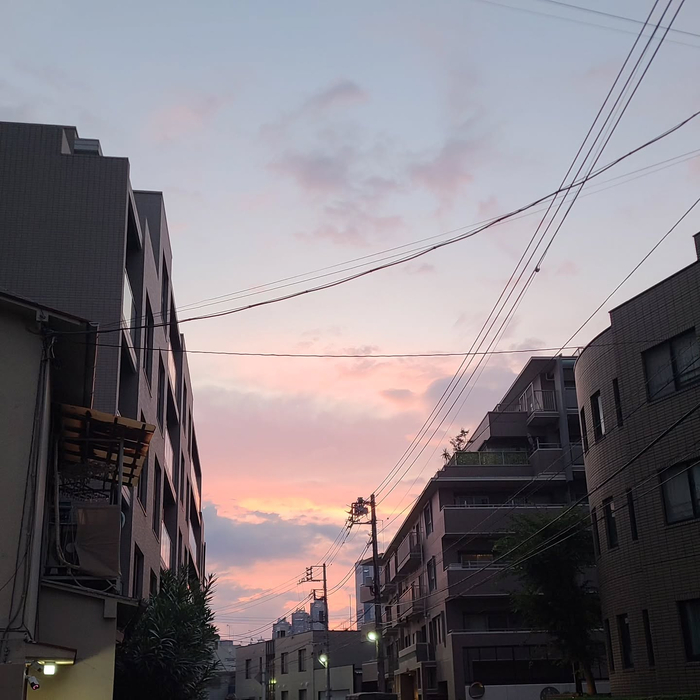 画像841