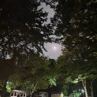 画像900