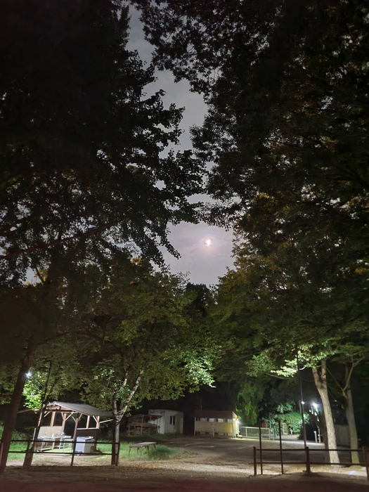 画像900